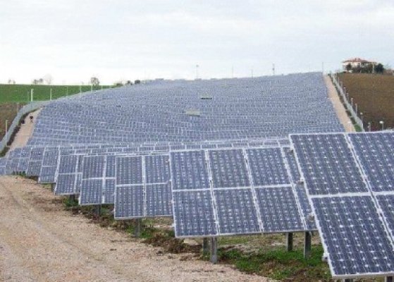 Parc fotovoltaic, inaugurat la Buziaş